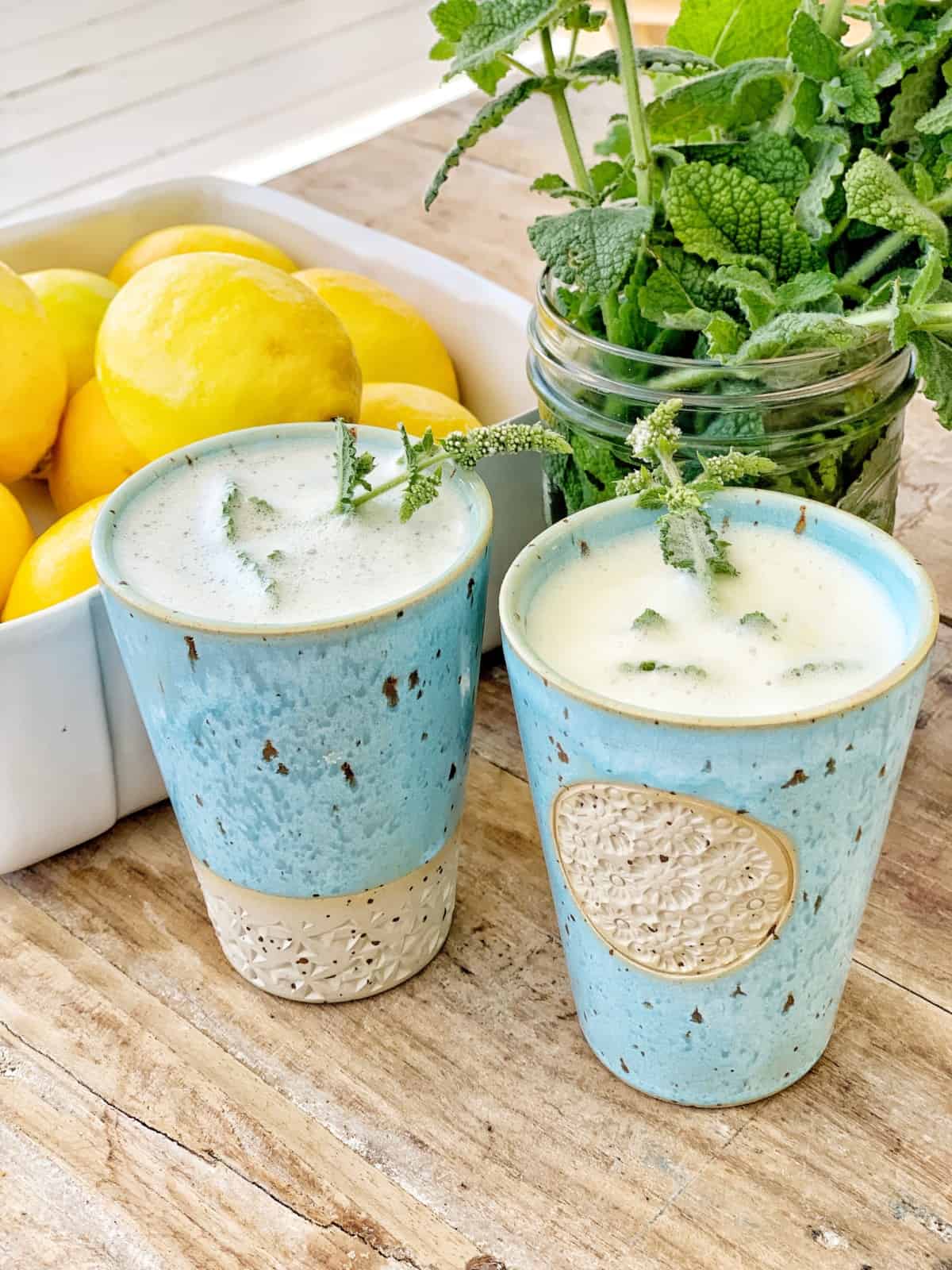 Lemonade Slush to Die For