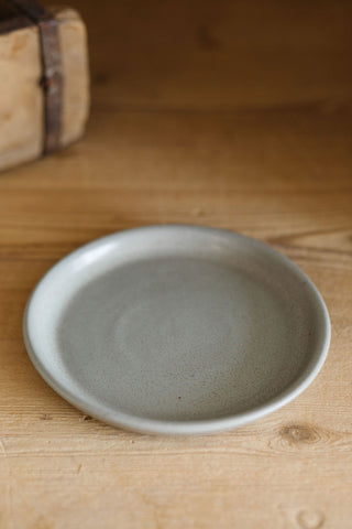 FN Dinner Plate, Stormy Gray